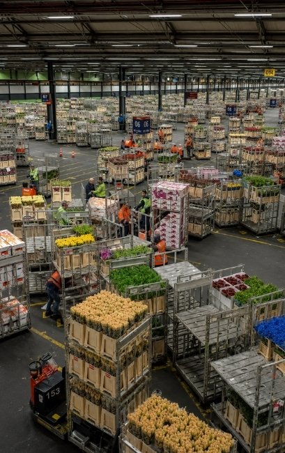 Export Warehouse